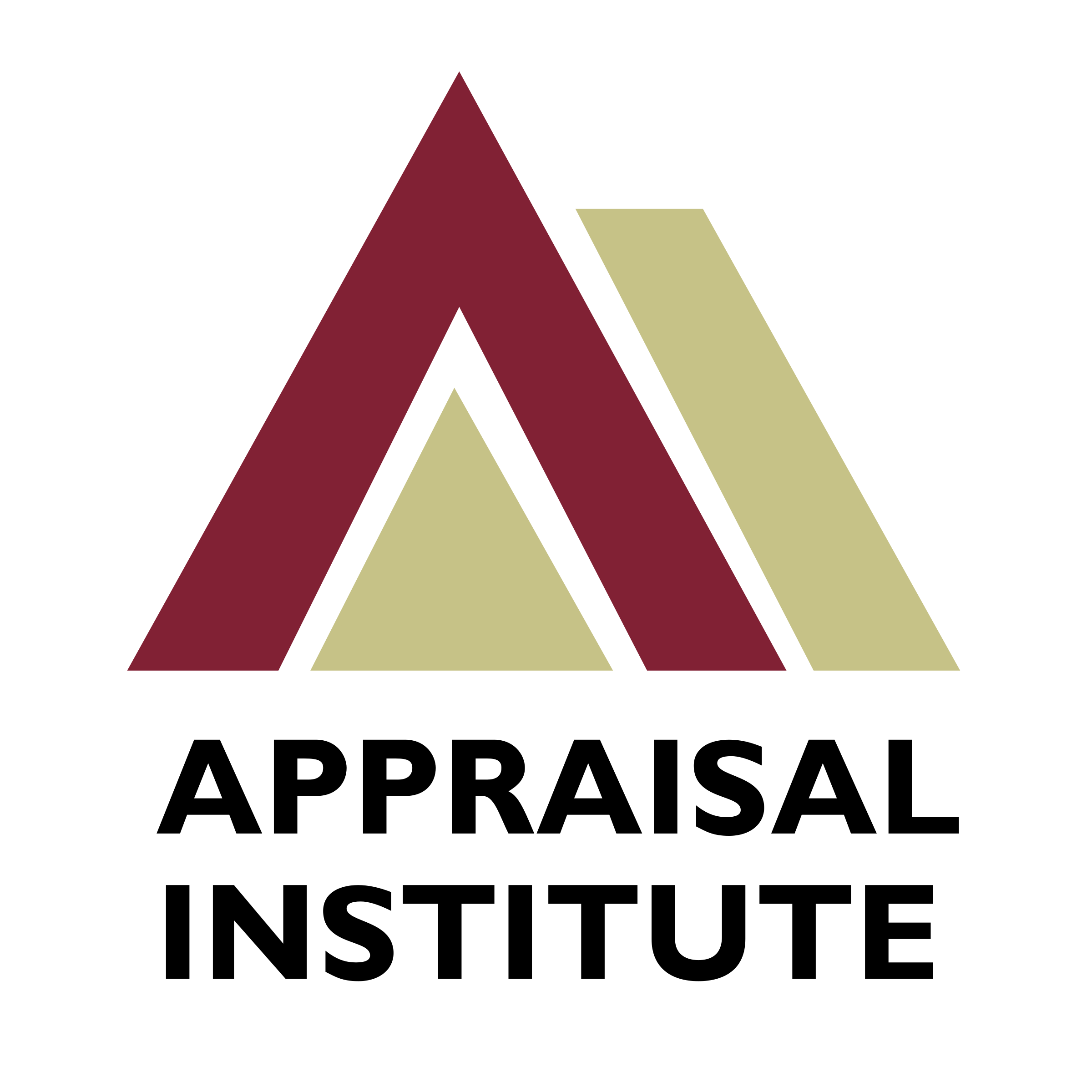 The Appraisal Institute