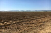 ±7,356.96 Acres - Maxwell Property (Maxwell, CA)