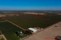 ±116.40 Acres - K&L Farms Almond Property (Atwater, CA)