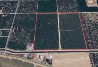 ±40.32 Acres - Loogman Eugenia Ranch (Ripon, CA)