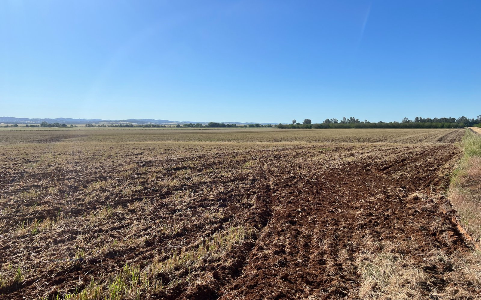 ±165.50 Irrigable Acres -- Wheatland (Yuba County, CA)