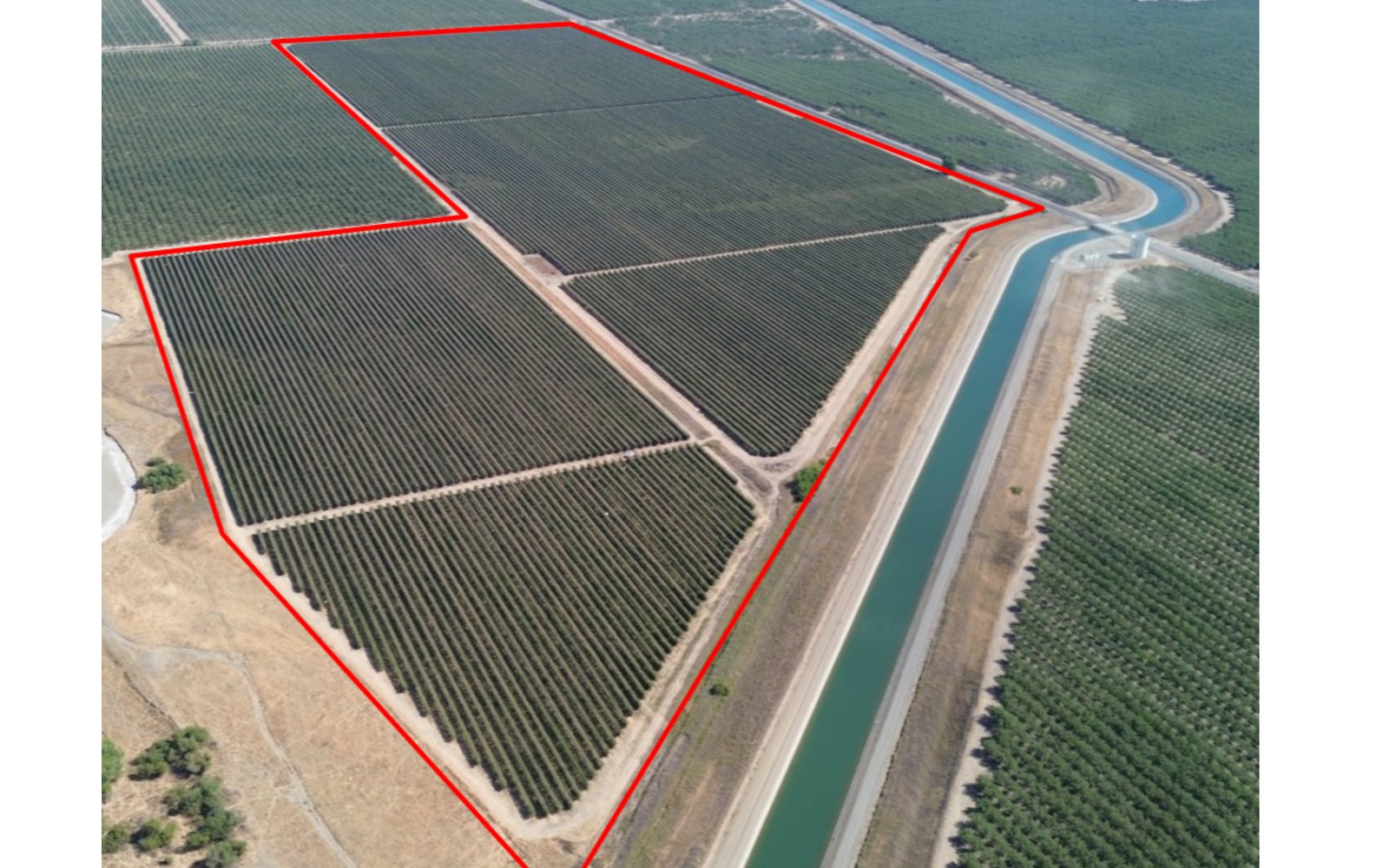 ±135.21 Acres -- Organic SHD Olives (Orland, CA)